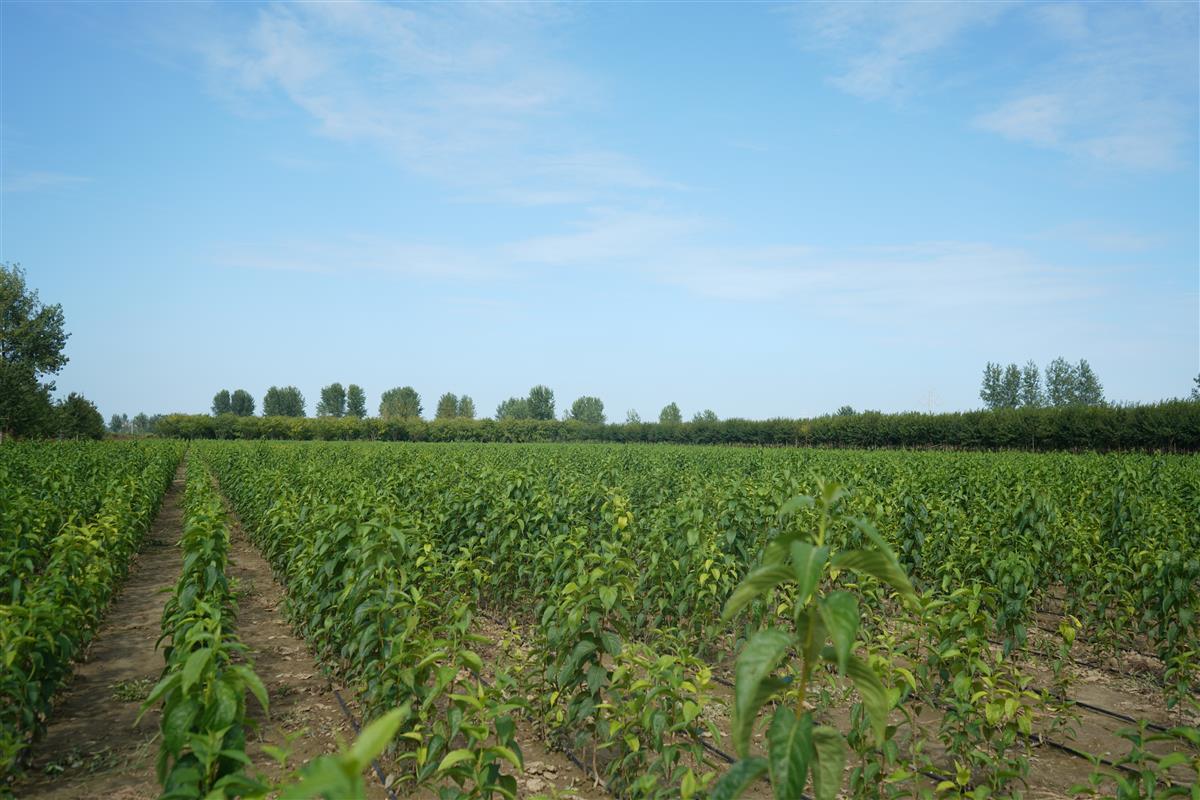 1675758856104588.jpg 2.jpg