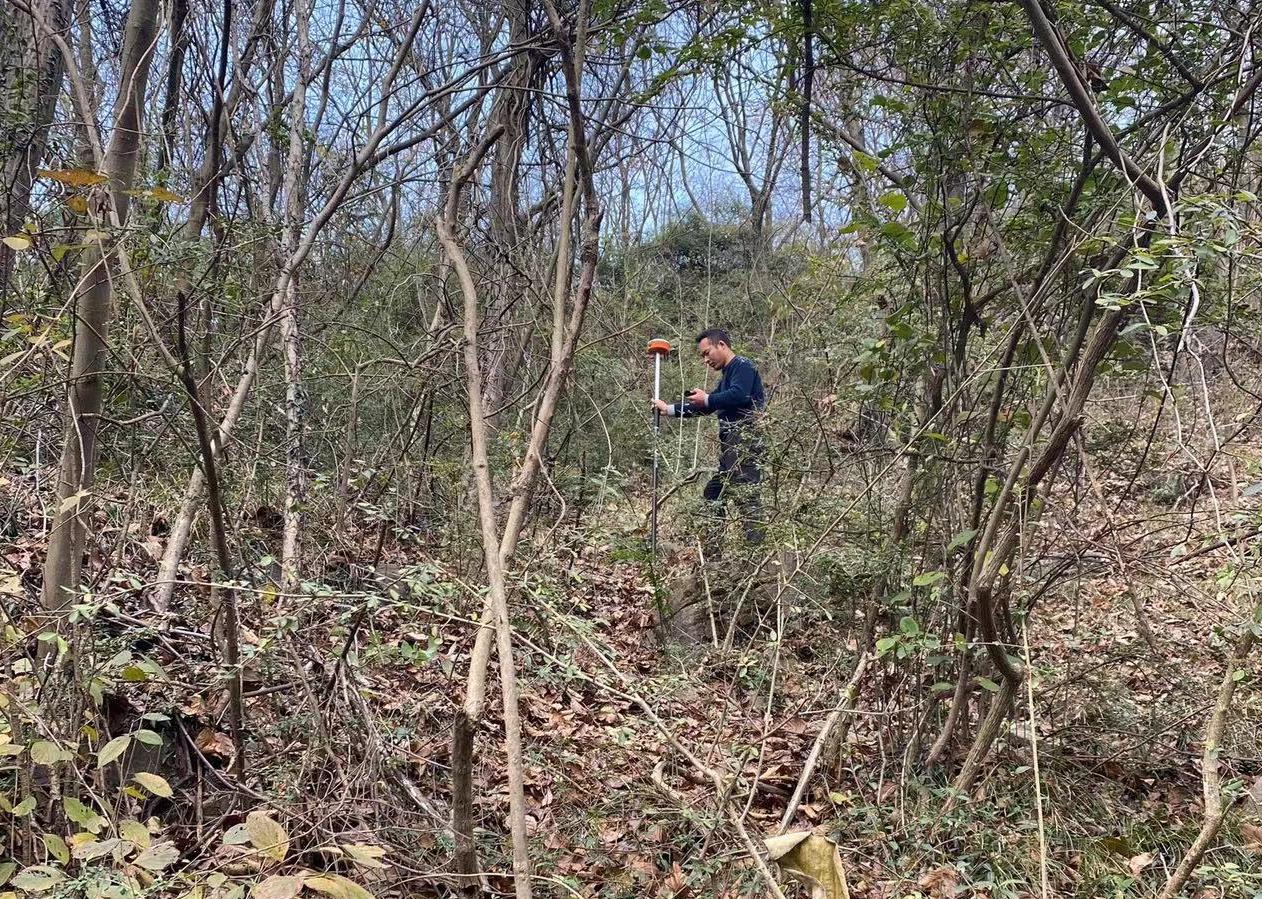 林草湿监测和森林督察