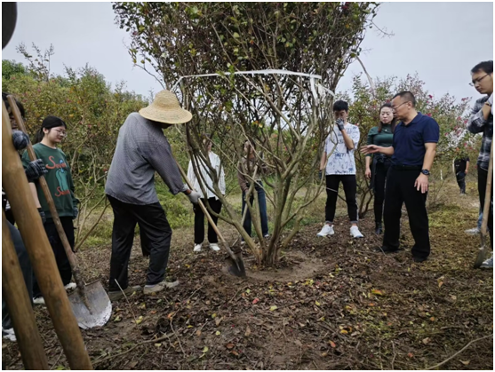 1696810071189468.png 1.png