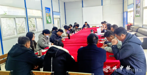 新春谋新篇  申林林业启新篇