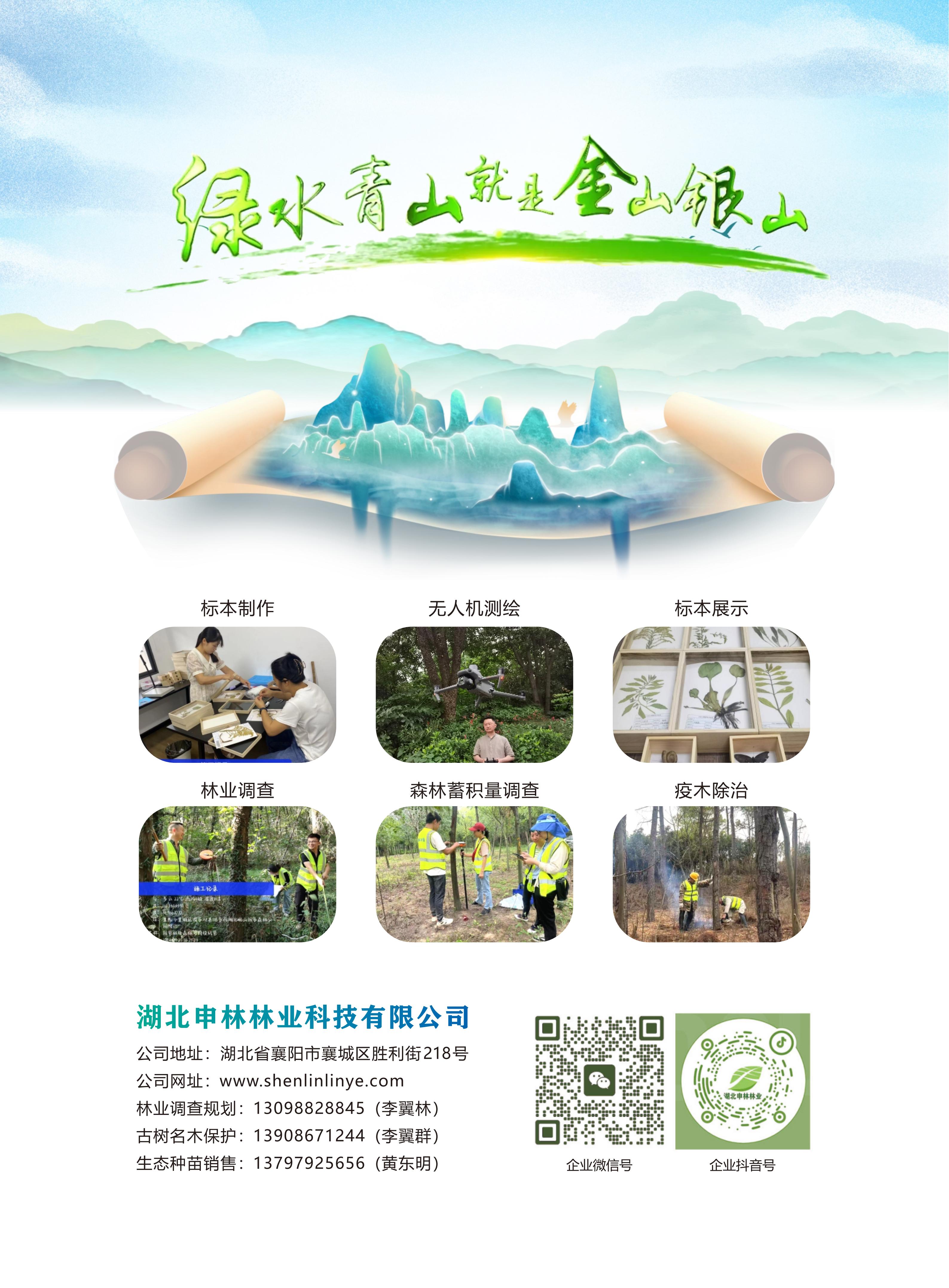 2025湖北申林林业-宣传折页 - 副本_06.jpg