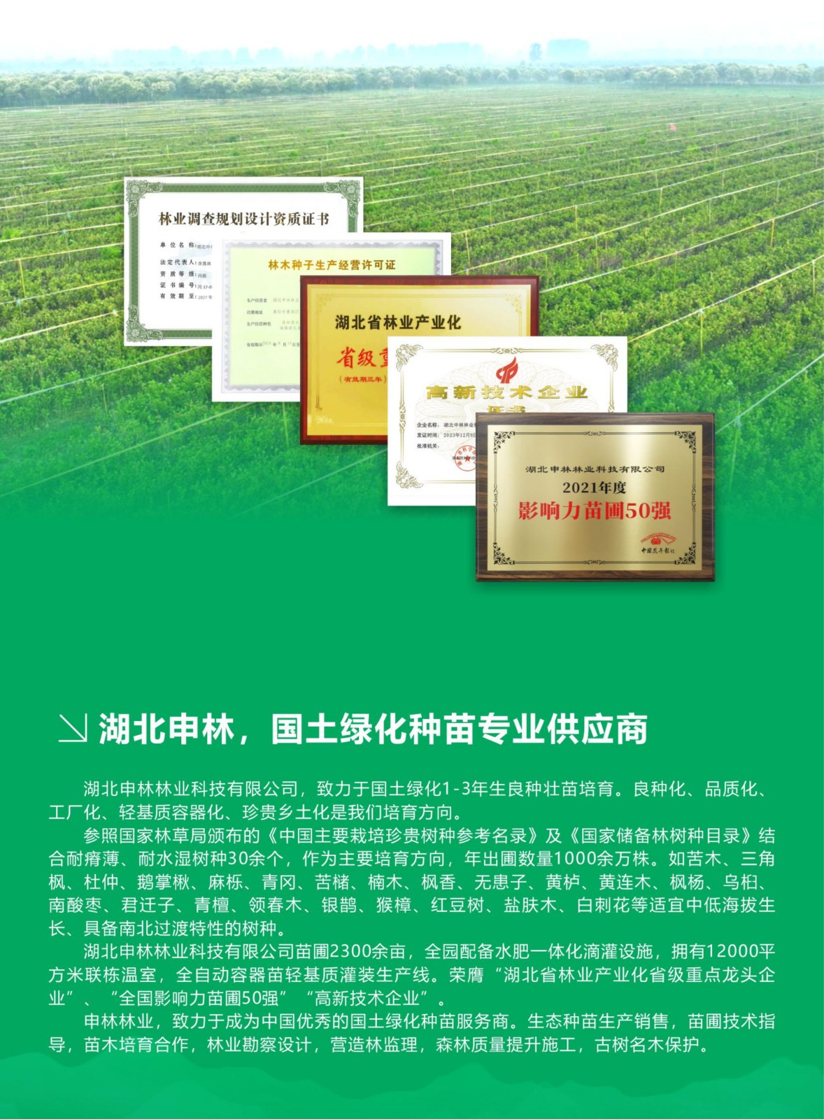 2025湖北申林苗圃-宣传折页 - 副本_02.jpg